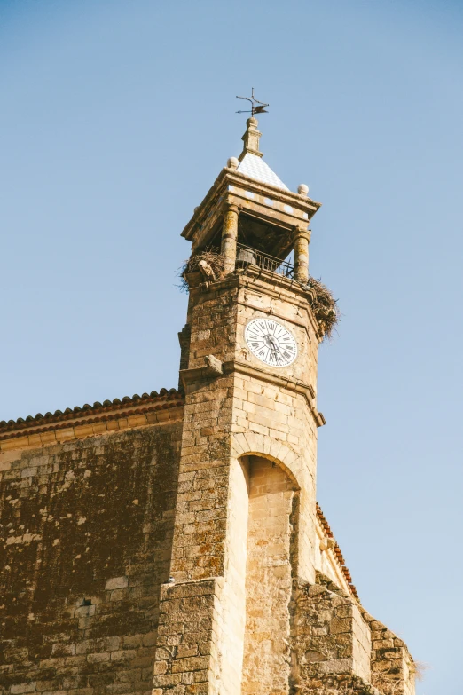 a building with a clock on it and a bird nest in the roof