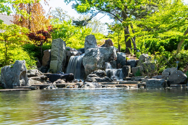 a pond and waterfall surrounded by a lush green tree filled forest