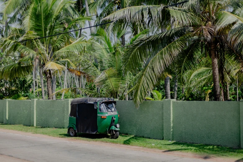 a scooter parked next to a street lined with palm trees