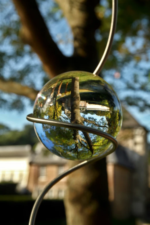 some tree reflection in a ball hanging on a wire