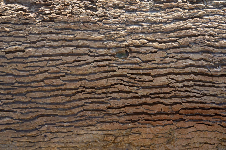 a wood texture with some little things on it