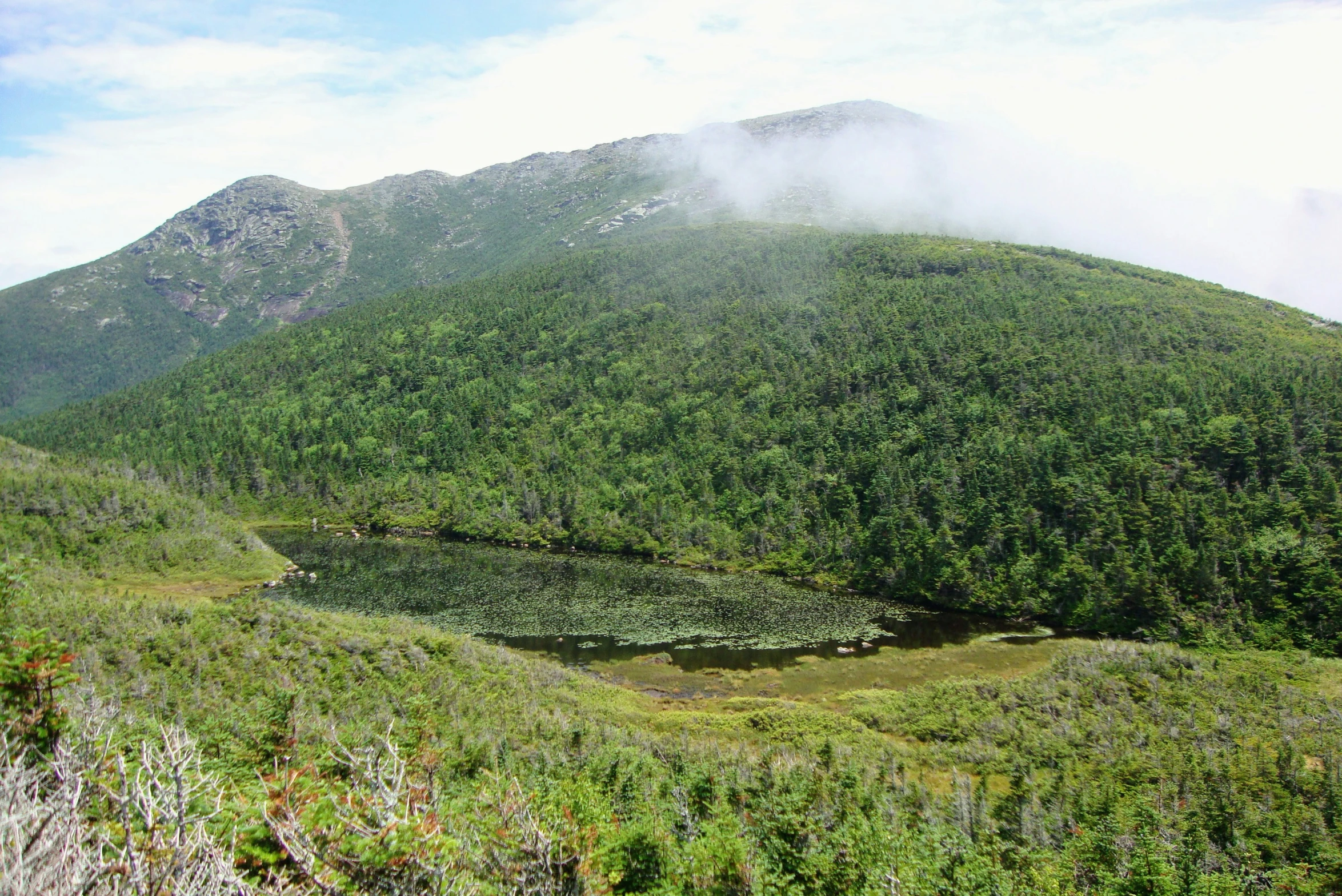 a grassy valley with water, a mountain and fog