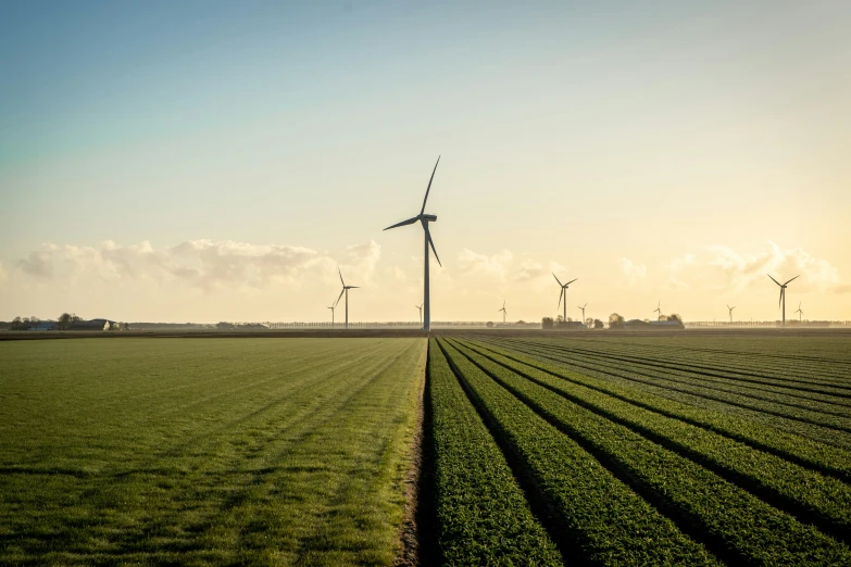 several windmills stand in a field with grass