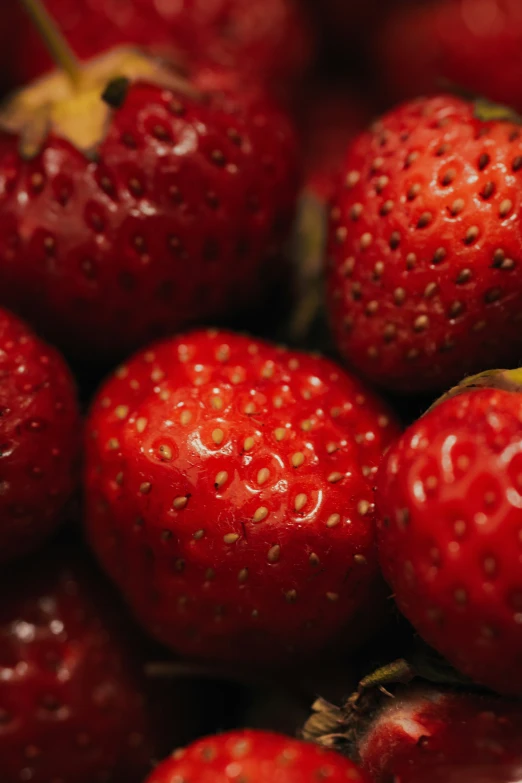 closeup s of some ripe red berries