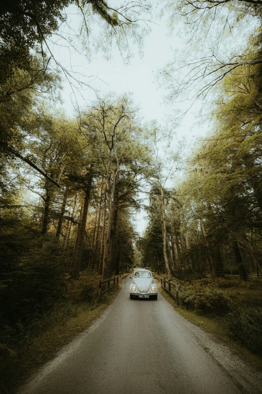 an automobile parked on the side of a tree lined road