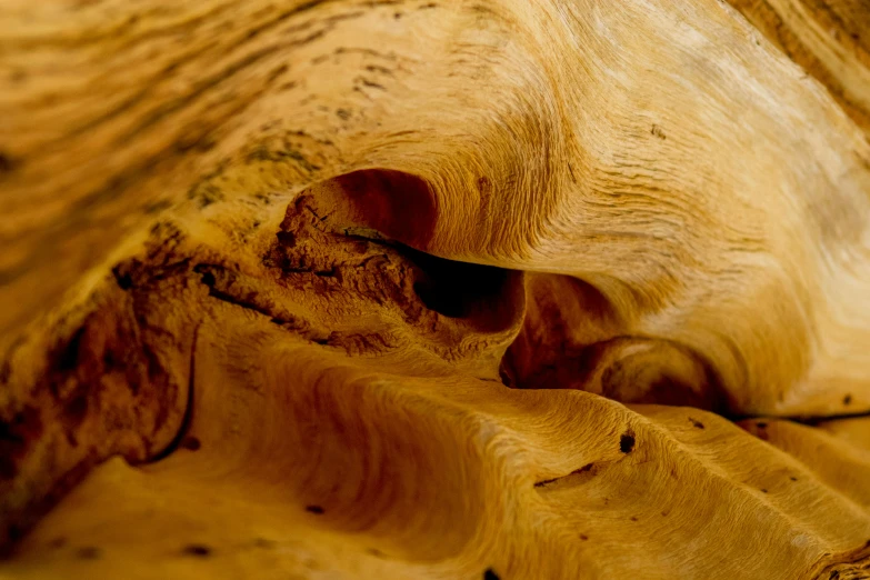 a close up s of a wood material