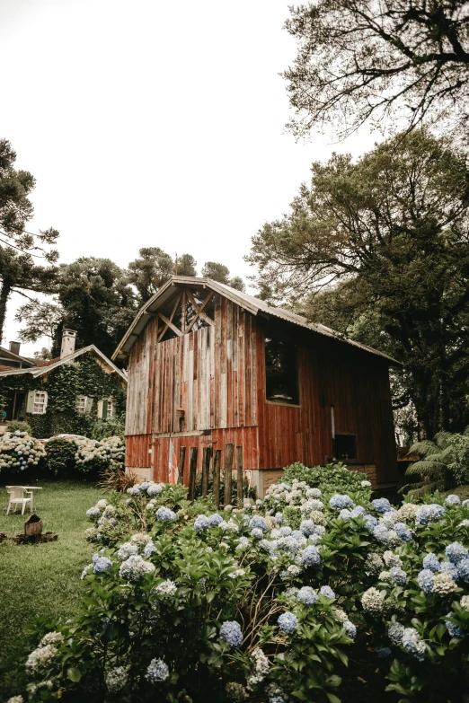 a house is built into the hillside with flowers in front of it