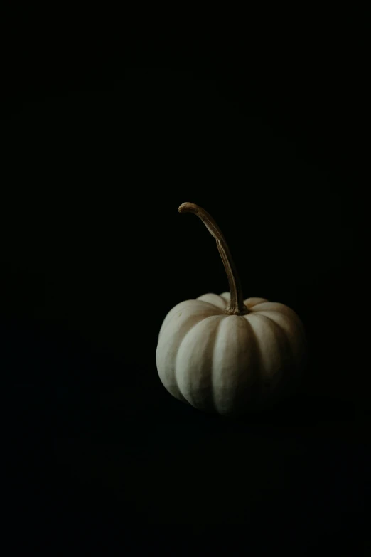a white pumpkin on black background in the darkness