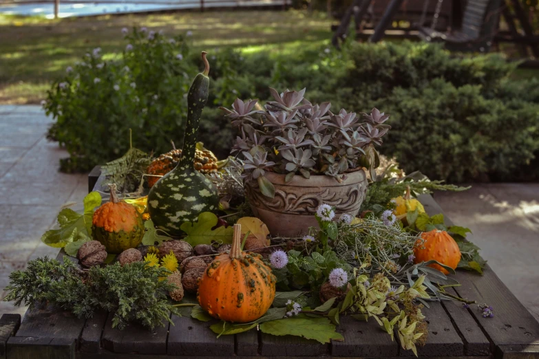 a variety of autumn vegetables and flowers on a wooden table