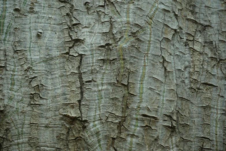 an area marked with green lines for painting wood