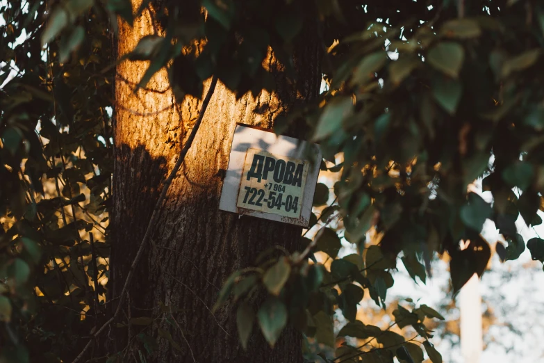 a sign is posted on the side of a tree