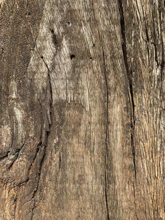 the grainy wood of an old weathered wooden door