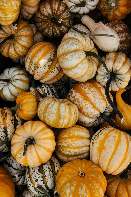 a pile of different size pumpkins are arranged for display