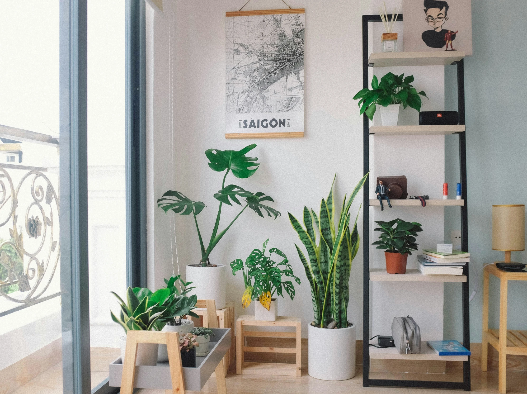 a room with three bookshelves, one containing house plants