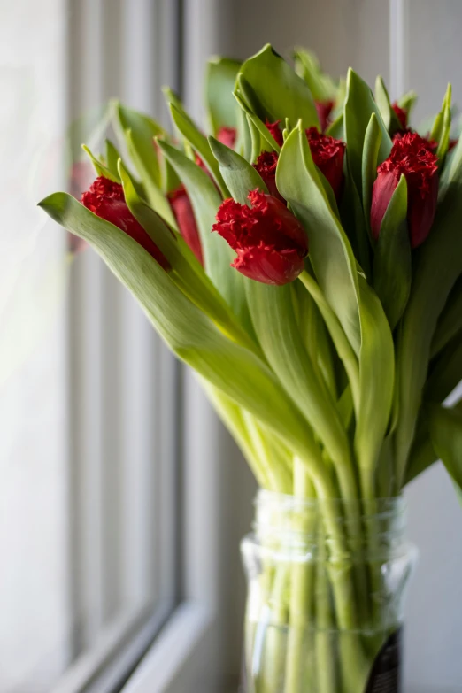 many red and green flowers are in a vase on a windowsill