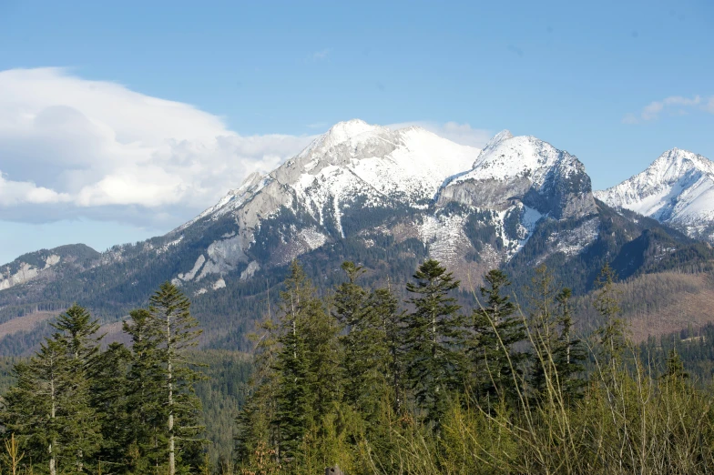 a mountain with snowy tops sitting on the side of a forest