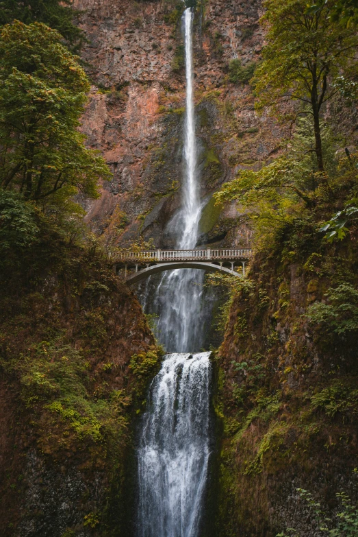 waterfall and bridge with bridge across them and trees