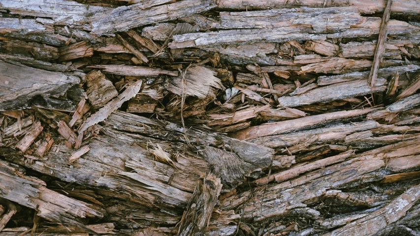 a pile of wood with woodchips and some logs