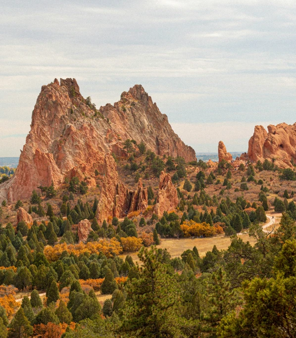 a view of the rocks and trees on the hillside