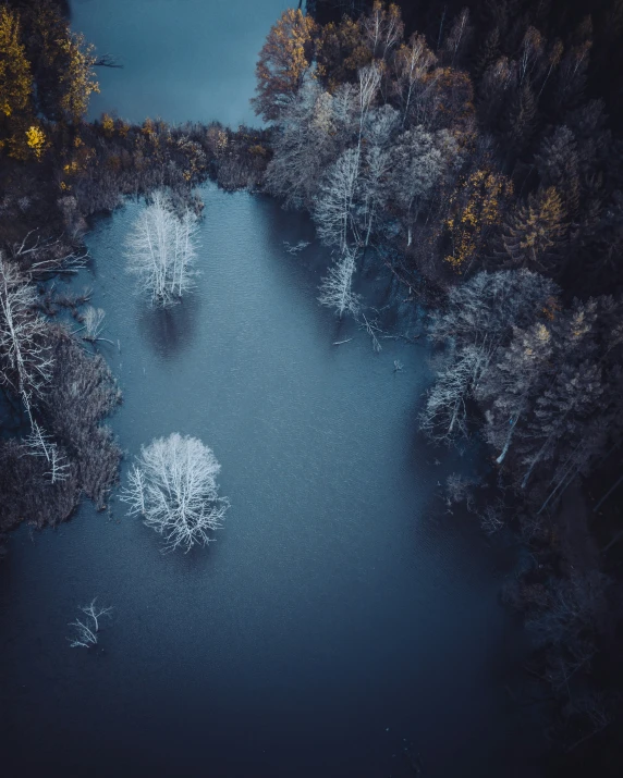 an overhead view of the water near trees