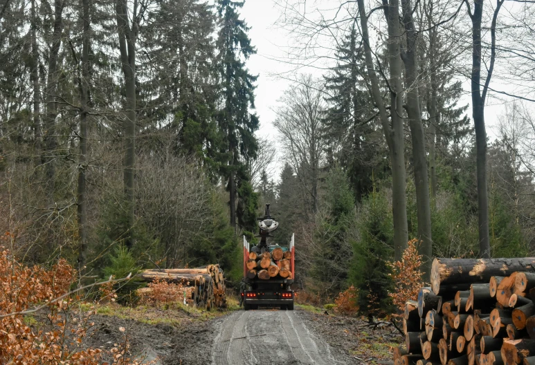 the tractor is loaded with wood in the woods