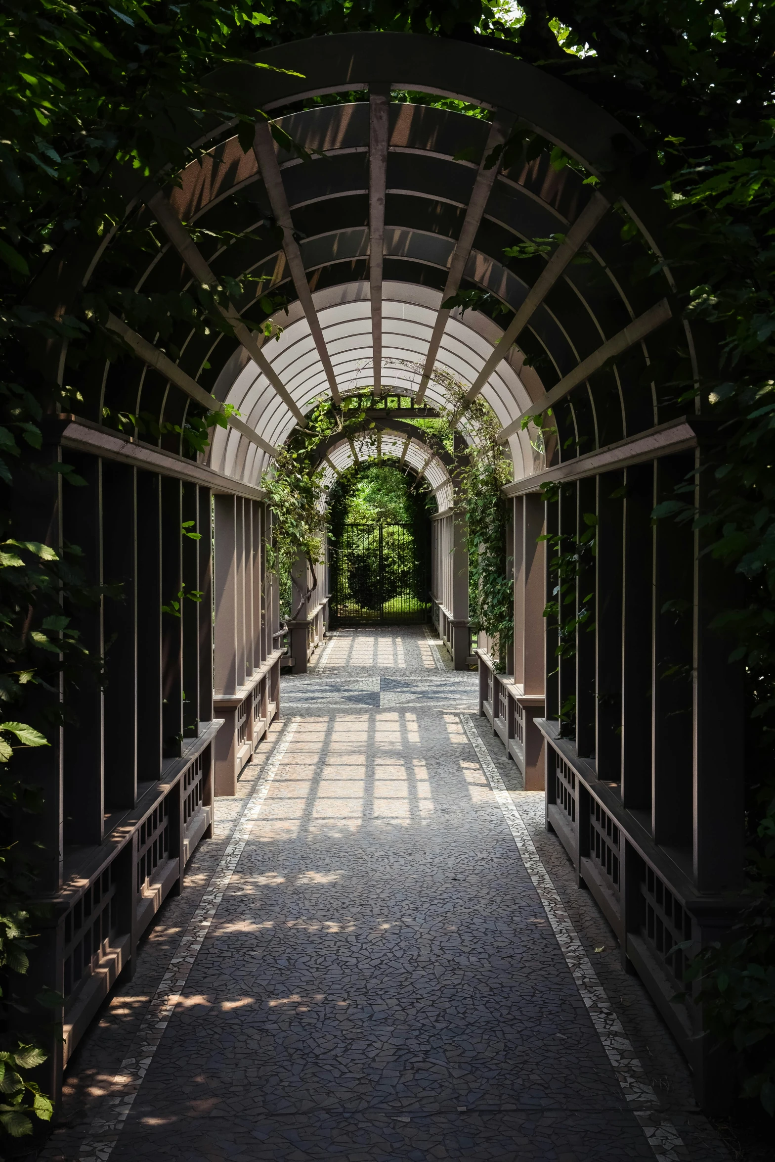 the walkway is full of greenery and a very pretty canopy