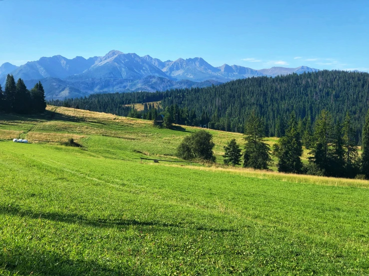 a person on a bench in the middle of the grass