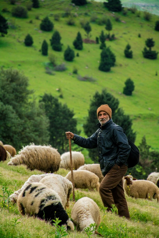 a man in a field with his sheep