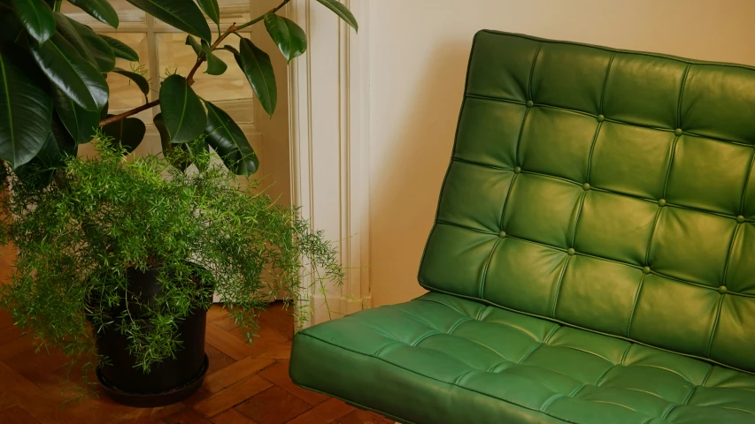 a green chair next to a potted plant