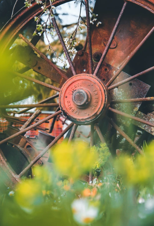 an old rusty wagon wheel sitting among many yellow flowers