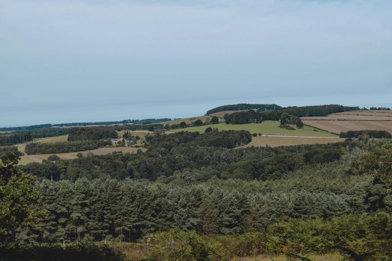 the view looking over a forest filled hillside