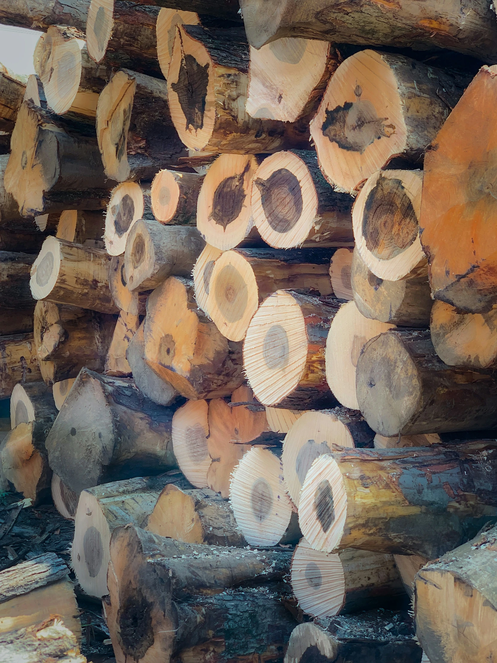 wood that is stacked up and ready for use