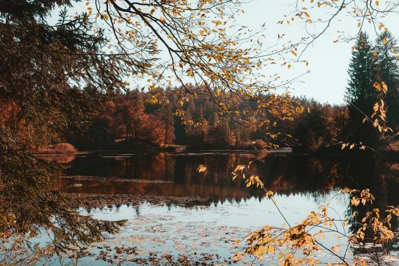 the calm waters of the lake are crystal clear