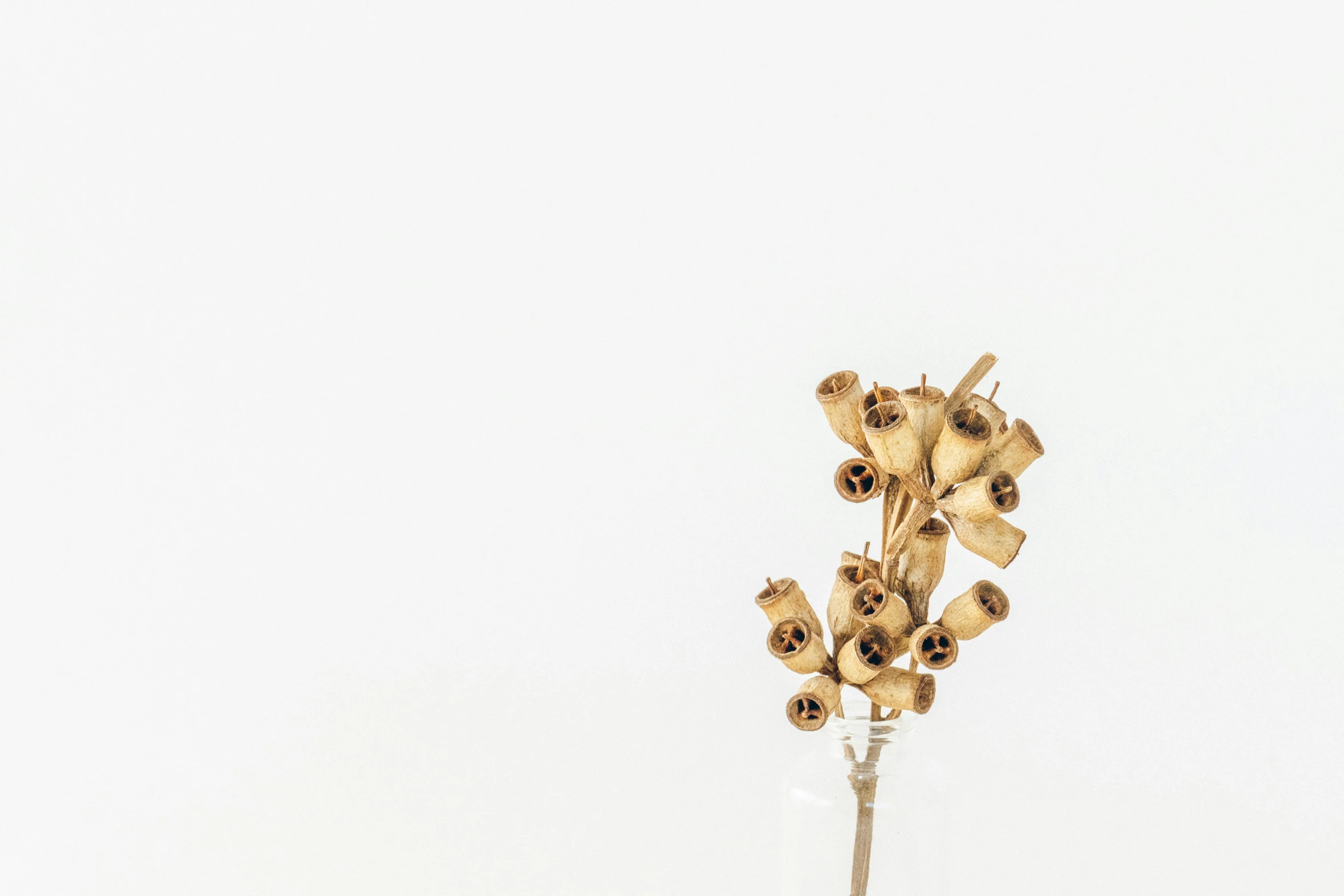 an artificial flower in a glass vase against a white background