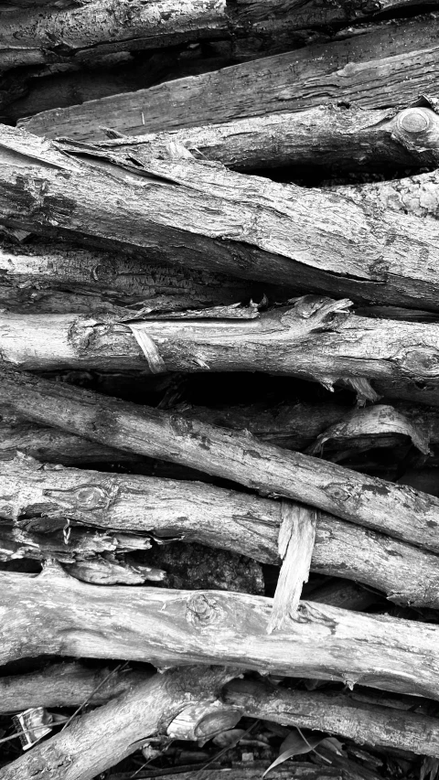 black and white po of logs