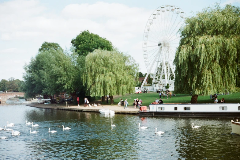 people are watching boats go down a river