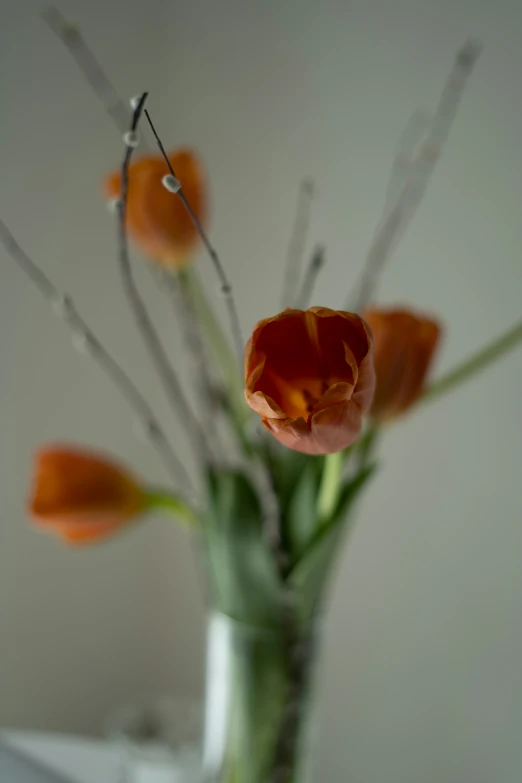 the vase has flowers in it, and has no stems