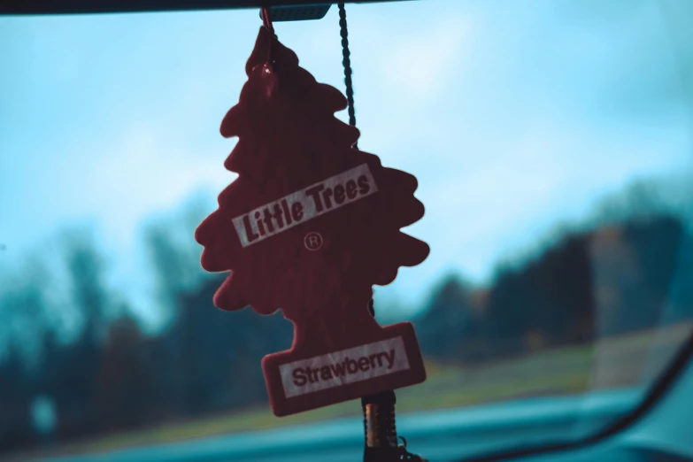 a sign with a name hangs from a pole