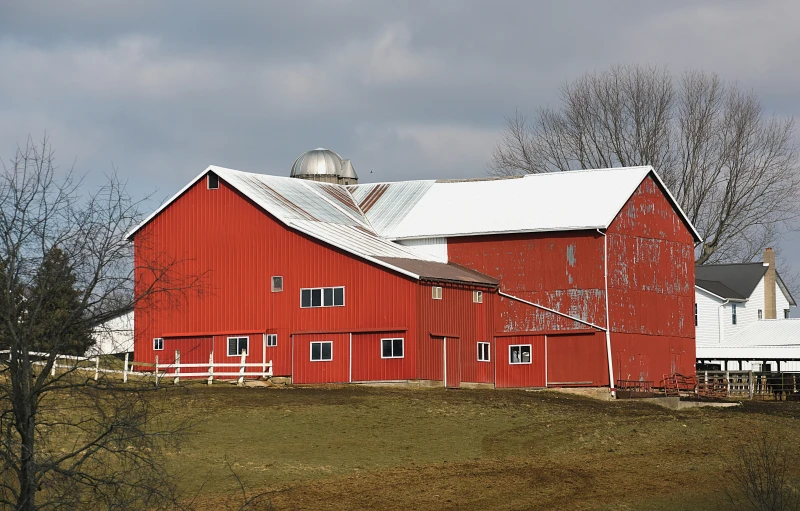 the red barn and surrounding structures have no grass