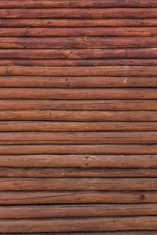 a bird standing on top of a pile of wood