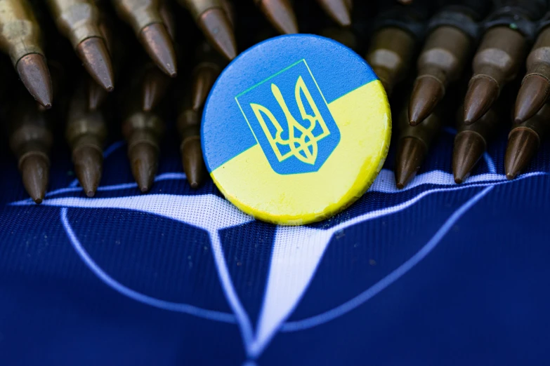 a blue and yellow flag sits between a group of large nail tip brushes