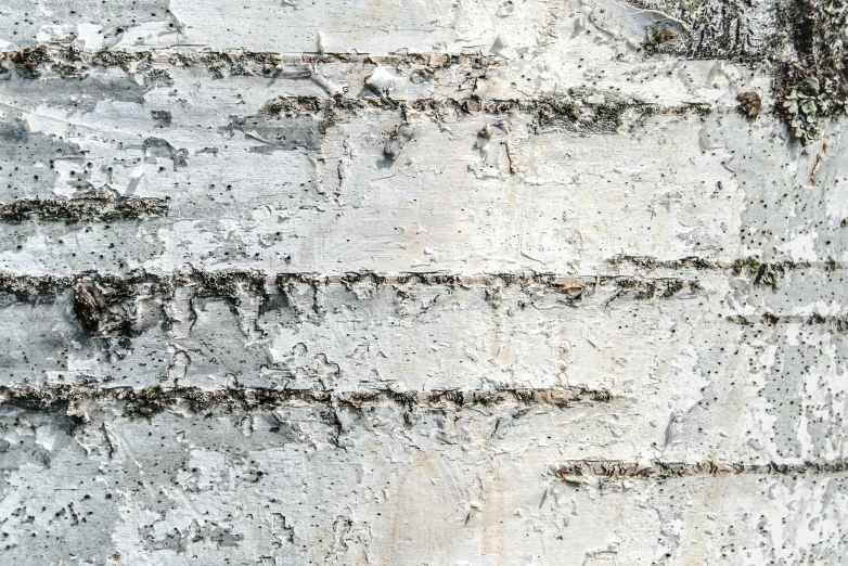 an old white wood that is peeling apart and peeling