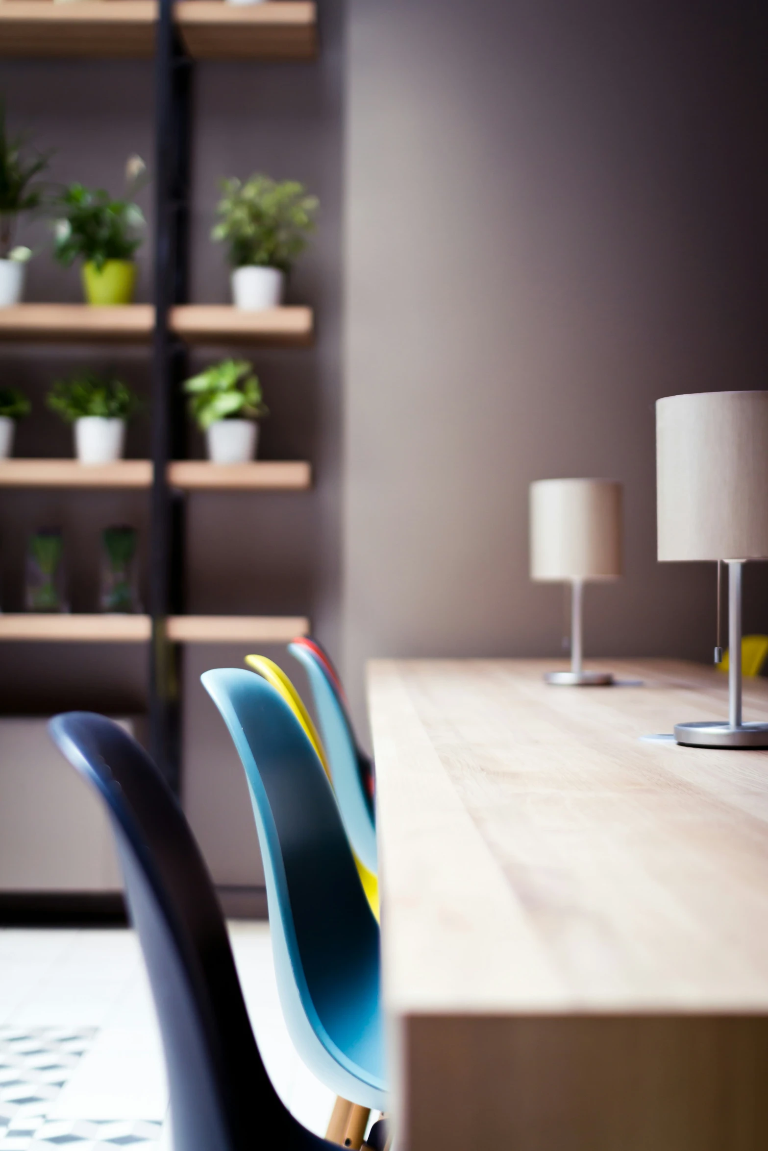 several chairs sit in front of a desk with an arrangement of plants on it