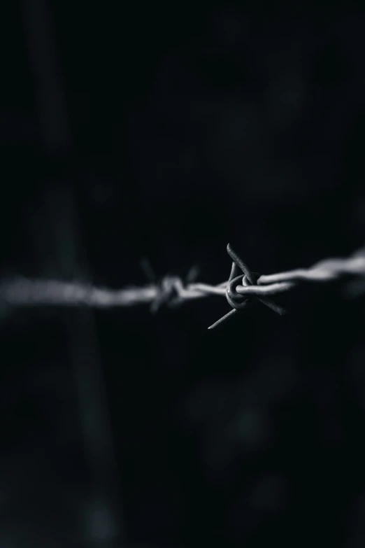 a black and white po of a barbed wire