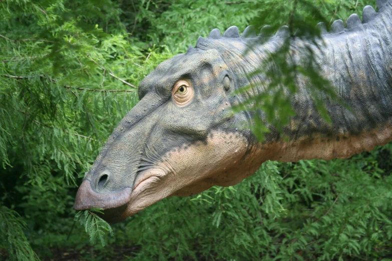 an adult dinosaur is standing among the green bushes