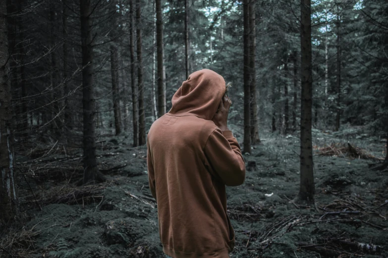 the person in the hooded jacket stands in the woods