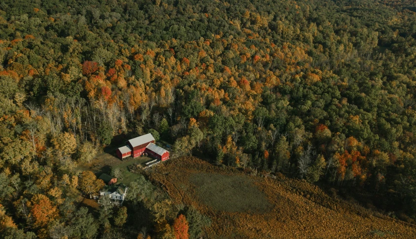 a house sits between many trees in the woods