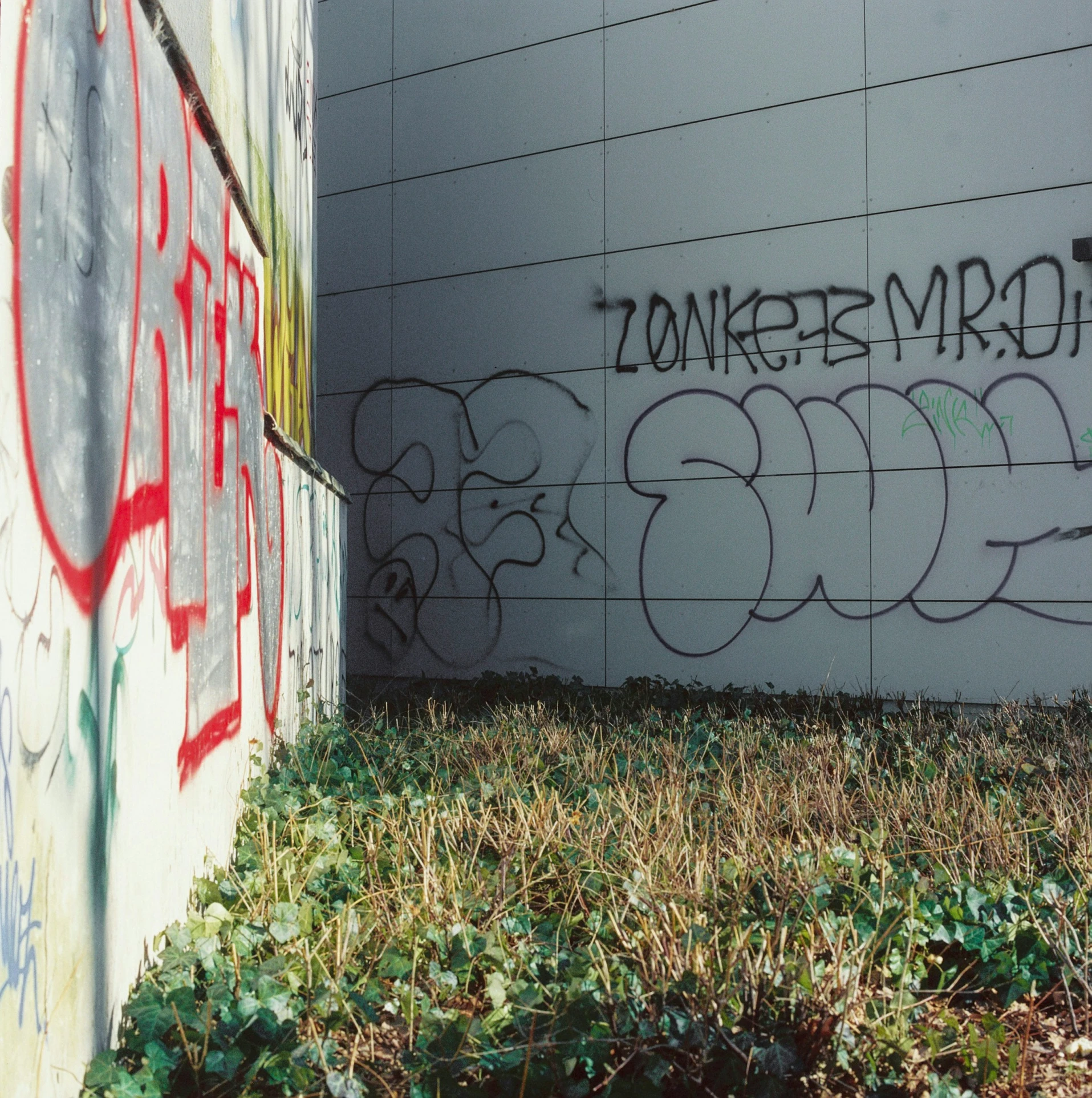 a wall covered in graffitti and vines by grass