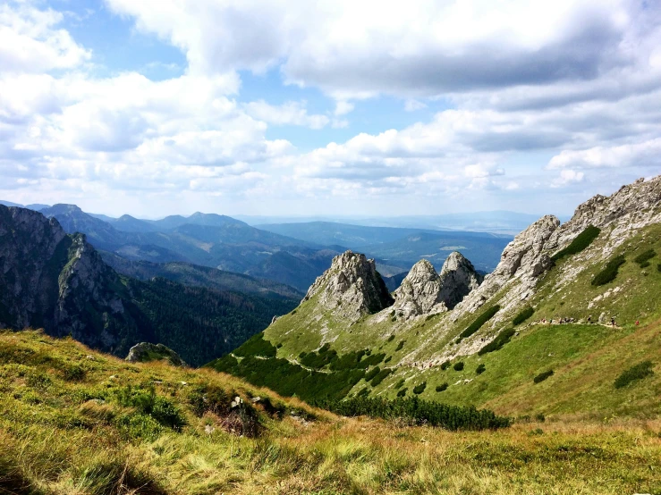 a grassy plain with some very tall mountains