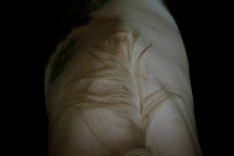 a view from behind of a person's body, showing the top of his head